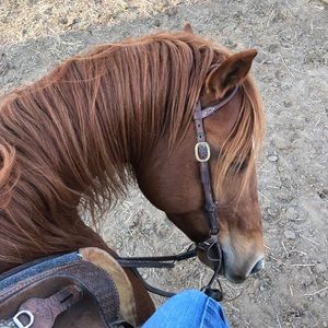 Meet your Posher, Beth